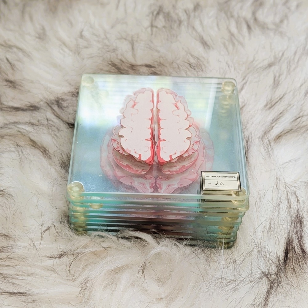 ThinkGeek Brain Specimen Glass Coasters 10 Illustrated Brain Slices Anatomy